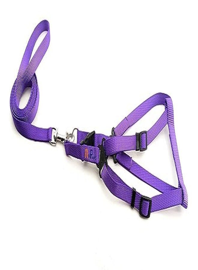 Pups&Pets 15 MM Soft Nylon Strip Pattern Radium/Reflective Dog Harness and Leash Set Ideal for Puppies and Small Breed Dogs (Purple) - Image 1